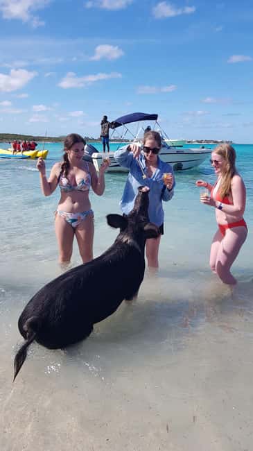 Center Console Private Bahamas Boat Charter - A private boat day built around your group