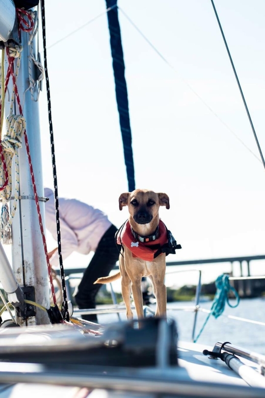 Charleston: Private BYOB Luxury Yacht Cruise - Why Charleston Harbor is best seen by boat