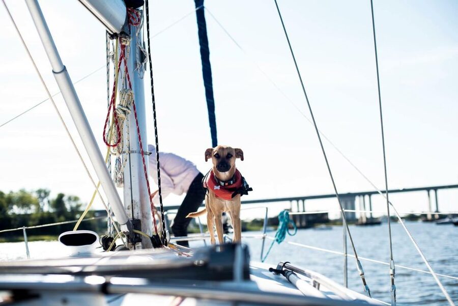 Charleston: Private BYOB Luxury Yacht Cruise - Booking details worth knowing