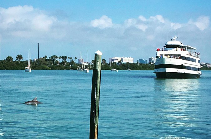 Clearwater Daytime Yacht Sightseeing Cruise with Optional Dining - Timing and parking at 25 Causeway Boulevard