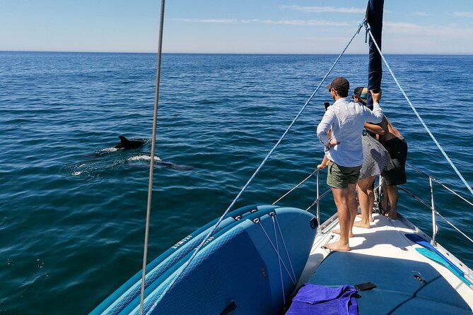 Coastal Tour on a Luxury Sailing Yacht - Vilamoura(Max 12 Guests) - Falésia Beach From the Sea