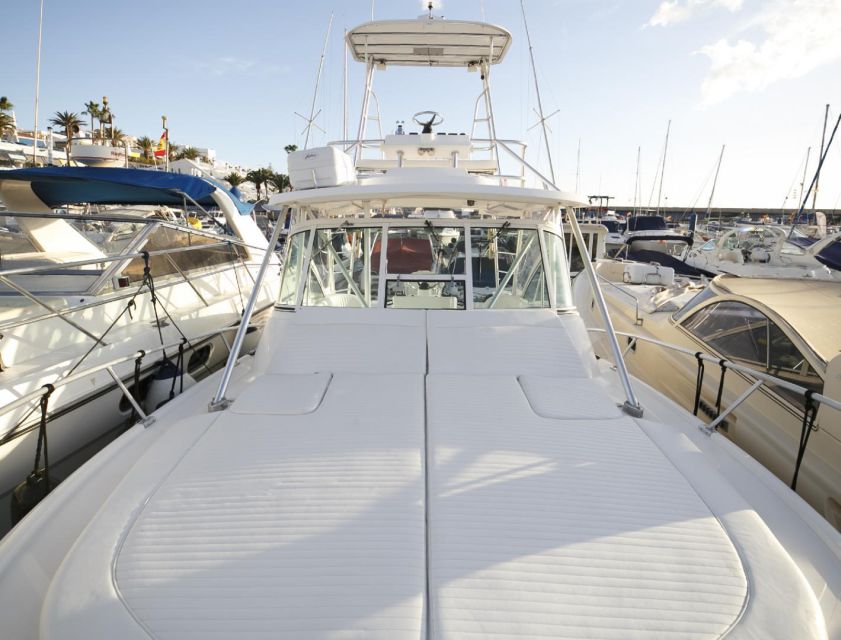 Costa Adeje: Private Yacht Sailing Tour from Puerto Colón - Who will enjoy this yacht trip most?