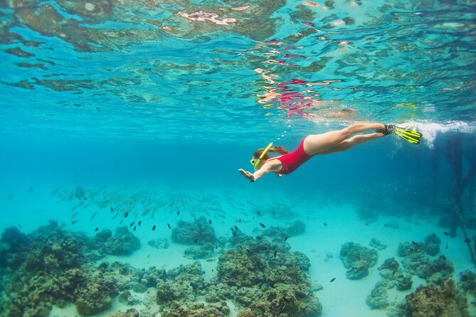 Cozumel Luxury Sailing & Snorkeling Cruise Experience - Cozumel departure or Riviera Maya pickup