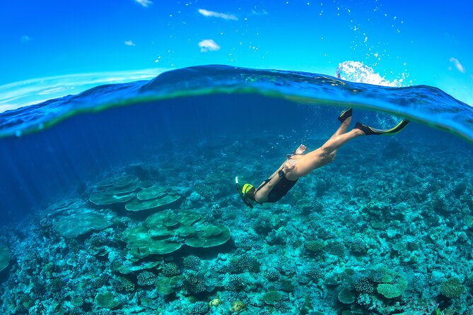 Cozumel Luxury Sailing & Snorkeling Cruise Experience - Weather, cancellations, and schedule changes