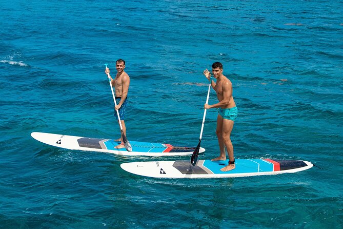 Cozumel Luxury Sailing & Snorkeling with Lunch and Open Bar Onboard - Snorkeling at Cozumel’s reef sites
