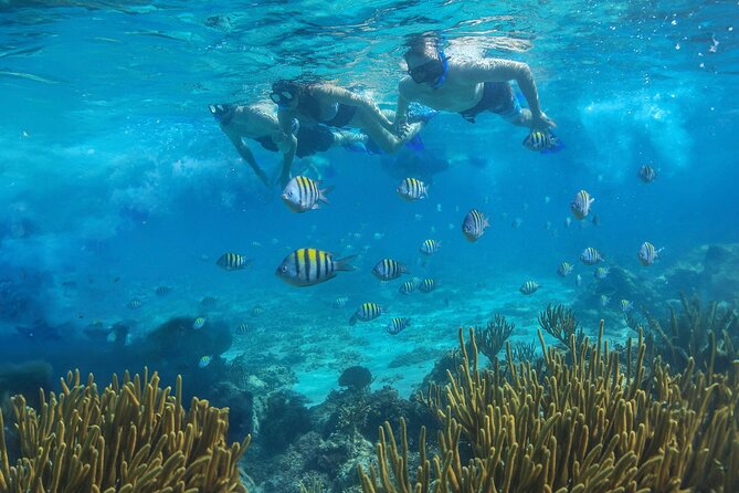 Cozumel Luxury Sailing & Snorkeling with Lunch and Open Bar Onboard - How much time do you get in Cozumel?
