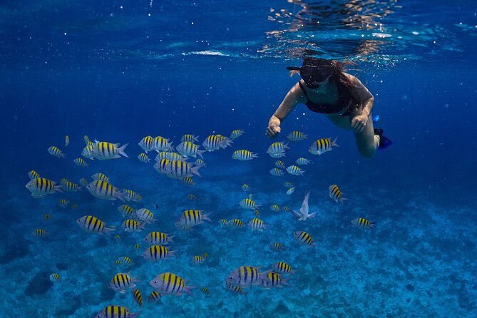Cozumel Luxury Sailing & Snorkeling with Lunch and Open Bar Onboard - Sailing aboard a catamaran with up to 34 people