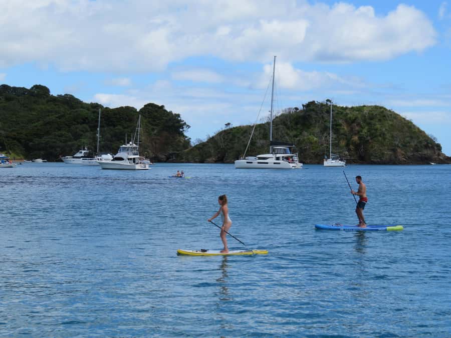Day Sailing Charter on Catamaran with Lunch : Bay Of Islands - Swimming, snorkeling, and paddleboarding