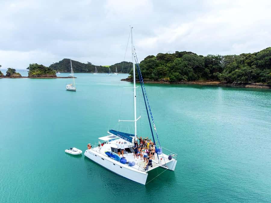 Day Sailing Charter on Catamaran with Lunch : Bay Of Islands - Lunch onboard, with useful dietary choices