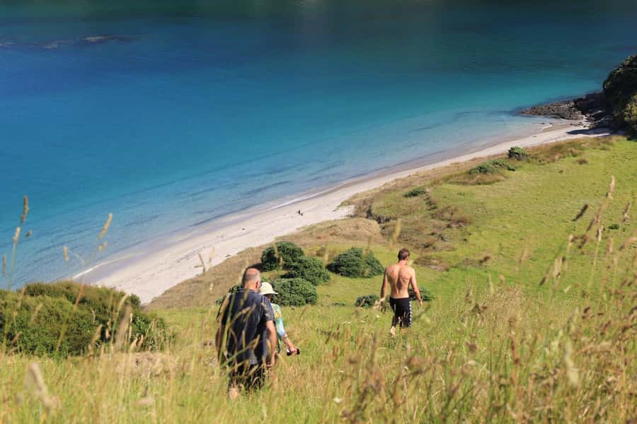 Day Sailing Charter on Catamaran with Lunch : Bay Of Islands - Who should book this Bay of Islands charter?