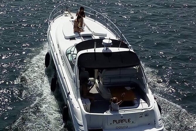 Day trip by private yacht to Curva da Lomba from Porto - Starting Beneath Porto’s Famous Bridges