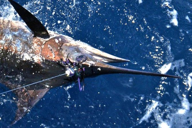 Deep Sea Fishing Private Boat Charter in San Juan - Weather, cancellation, and practical planning