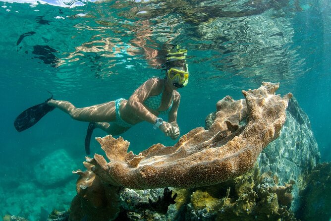 Deluxe Half-Day Snorkel Sail on Lady Grace Luxury Catamaran - Lunch, open bar, and the shift into relaxation