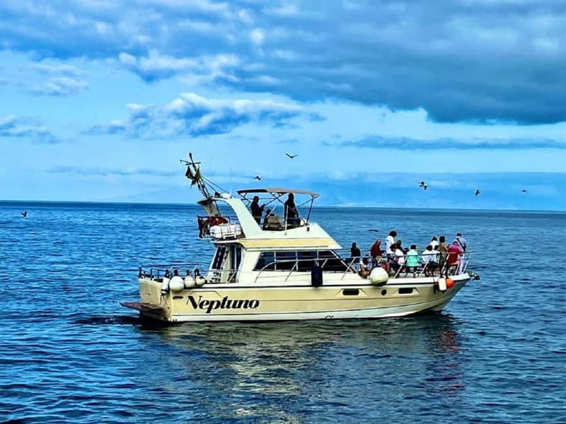 Discover whales in Tenerife: exclusive yacht tour with swim and lunch - Key points to know before you book