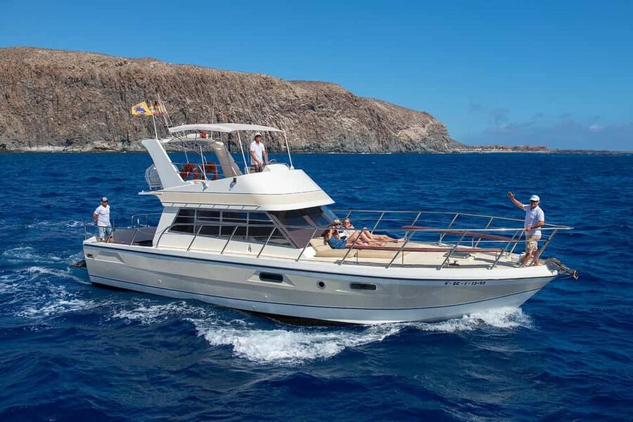 Discover whales in Tenerife: exclusive yacht tour with swim and lunch - Why this small Tenerife yacht trip works so well