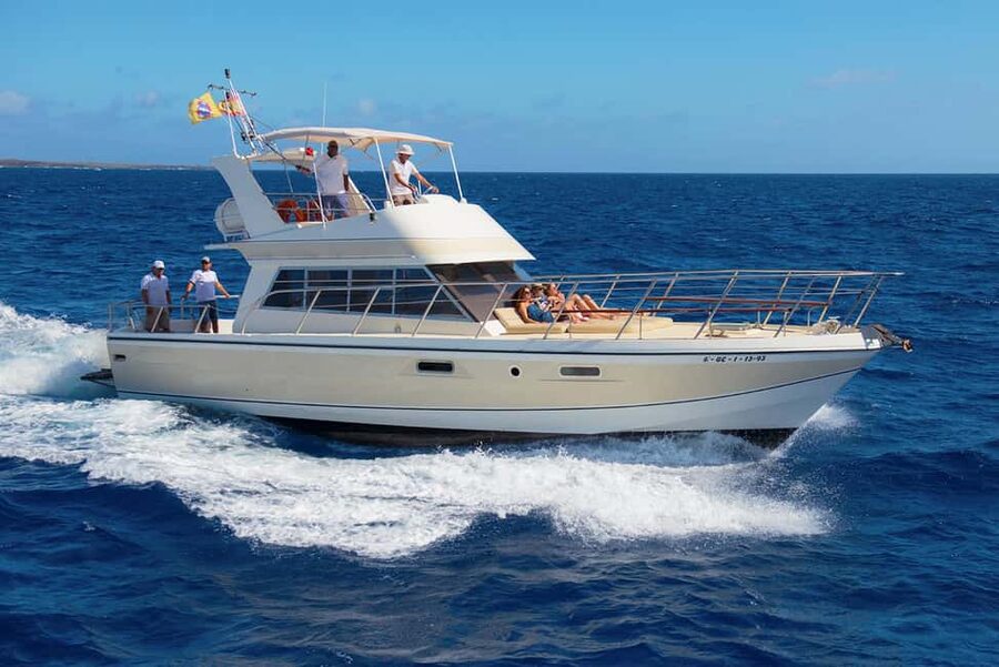 Discover whales in Tenerife: exclusive yacht tour with swim and lunch - Searching for pilot whales and bottlenose dolphins