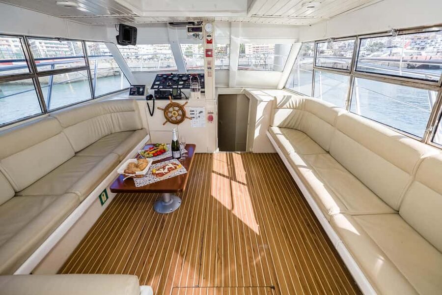 Discover whales in Tenerife: exclusive yacht tour with swim and lunch - The sheltered bay swim