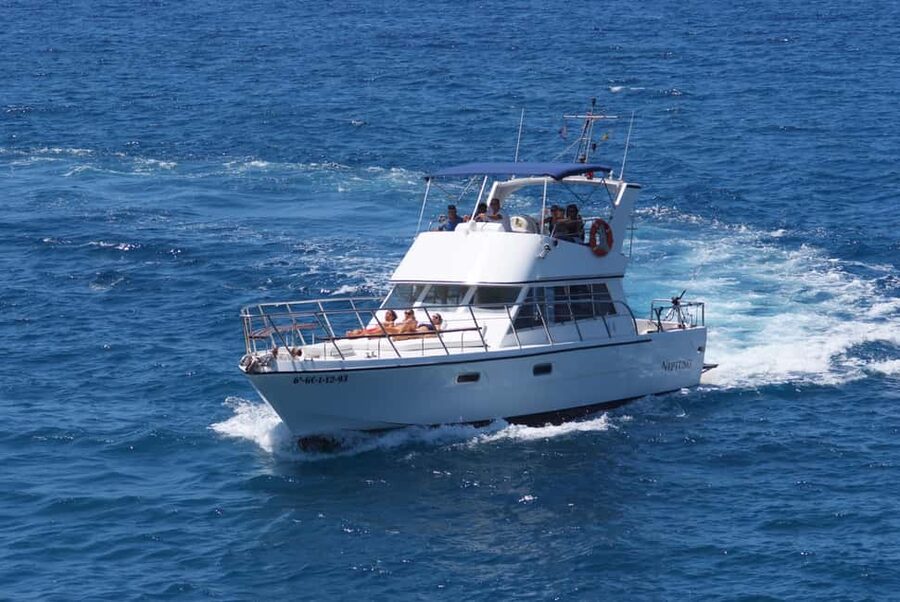 Discover whales in Tenerife: exclusive yacht tour with swim and lunch - What lunch is like on a moving yacht