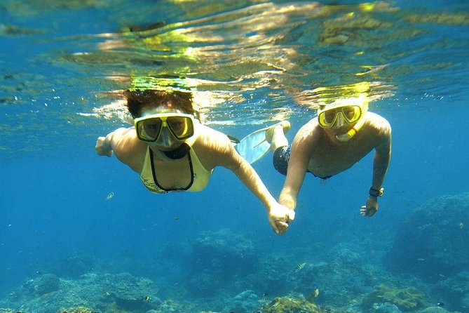 Dolphin House Royal sea Trip Luxury Boat With Transfer - Hurghada - Reaching Dolphin House by boat