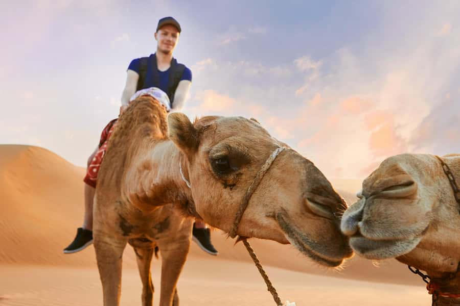 Dubai Waves & Dunes: Luxury Yacht Cruise w/ Red Dunes Safari - Sandboarding without a learning curve