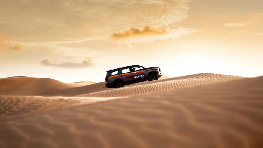 Dubai Waves & Dunes: Luxury Yacht Cruise w/ Red Dunes Safari - Practical advice for a smoother day