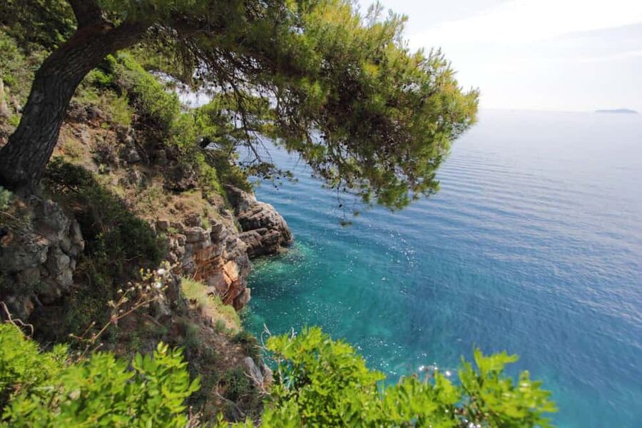 Dubrovnik: Private Luxury Yacht Tour to the Elaphite Islands - Šunj Beach on Lopud