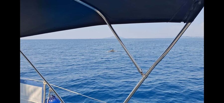 Dubrovnik yacht cruise-Elafity islands & Blue cave - The quieter value of the sailing stretches