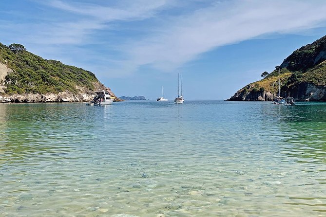 Exclusive Sailing Charter from Waiheke Island - Setting Sail from Matiatia at 9:45 am