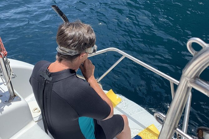 Exclusive Sailing Charter from Waiheke Island - Swimming, Snorkelling, and Paddleboarding