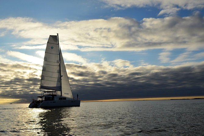 Fishing Trip with Luxury Catamaran in Tromso - A closer look at the catamaran setting