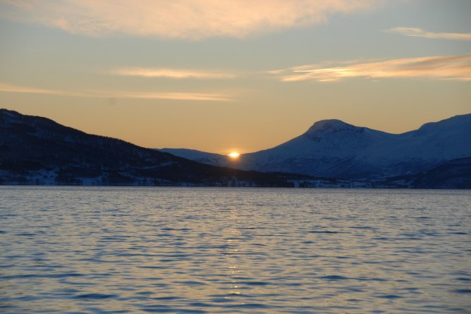 Fjord Cruise with Luxury Catamaran in Tromso - Weather, clothing, and sea conditions