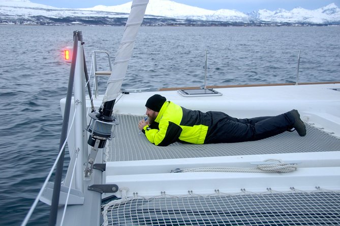Fjord Cruise with Luxury Catamaran in Tromso - Who should book this experience?