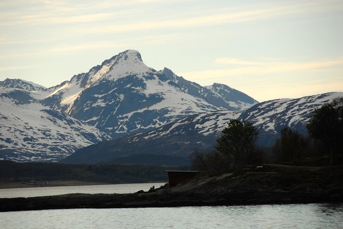 Fjord Cruise with Luxury Catamaran in Tromso - Fishing for cod, then eating the catch