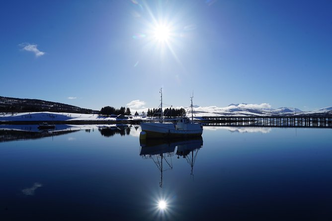 Fjordcruise in a Luxury Yacht Arctic Queen - Warm suites, snacks, and fish soup