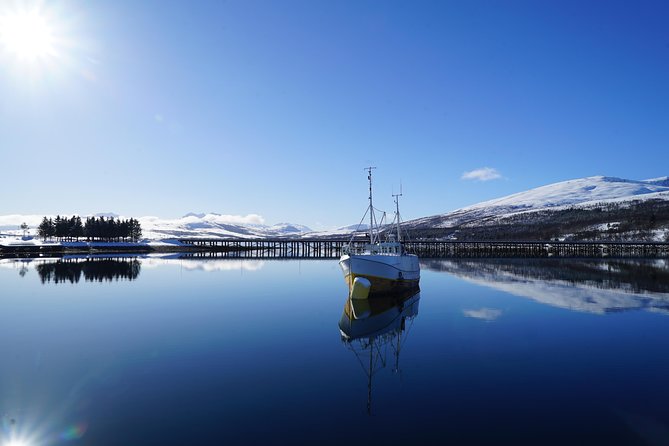 Fjordcruise in a Luxury Yacht Arctic Queen - The Tirpitz site and its wartime story