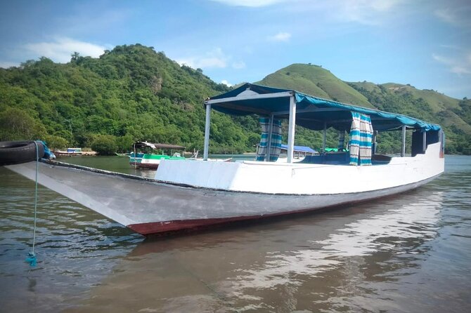 Flying Fox Island Sunset Cruise Private Boat Charter Labuan Bajo - The sunset view and the bat flight