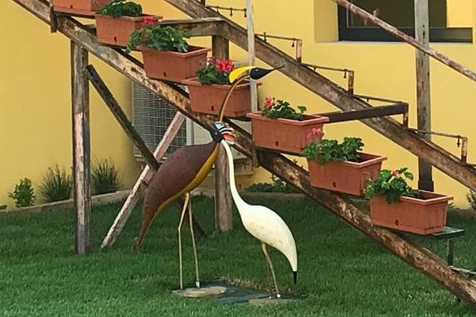 FriendInVenice Murano Burano Torcello Private Tour By Luxury Boat - How the Timing Shapes the Day