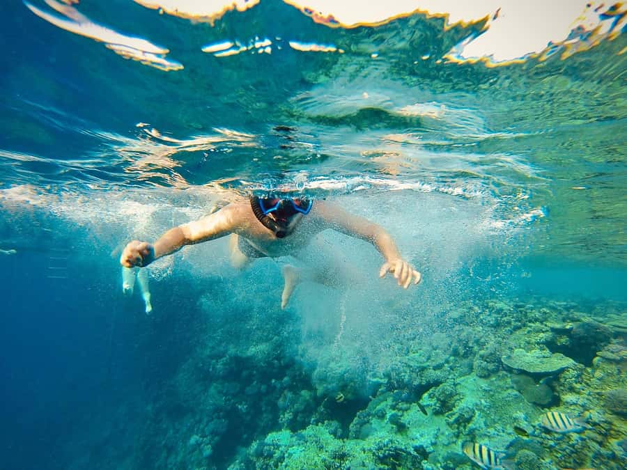 From Cairo: Snorkeling Trip on Yacht with Lunch - Key points to know before you book