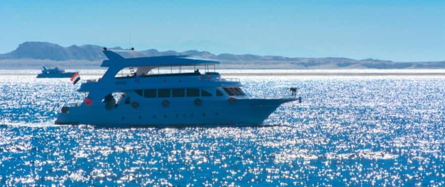 From Cairo: Snorkeling Trip on Yacht with Lunch - From Cairo to the Gulf of Suez