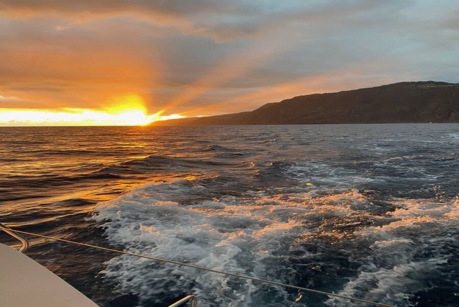 From Funchal: Cabo Girao Sunset Cruise on Luxury Catamaran - What the $47 price really covers