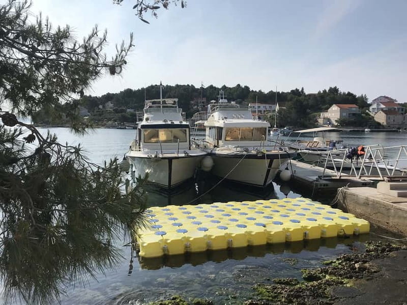 From Korcula island: Mljet Island Yacht Day Trip with Lunch - Should You Book the Mljet Yacht Day Trip?
