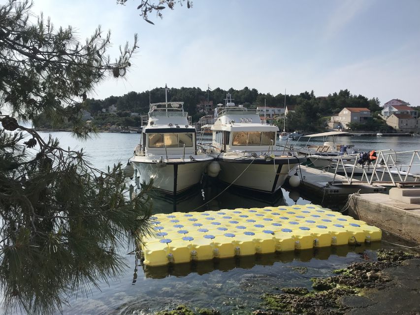 From Korcula island: Mljet Island Yacht Day Trip with Lunch - Who Will Enjoy This Best
