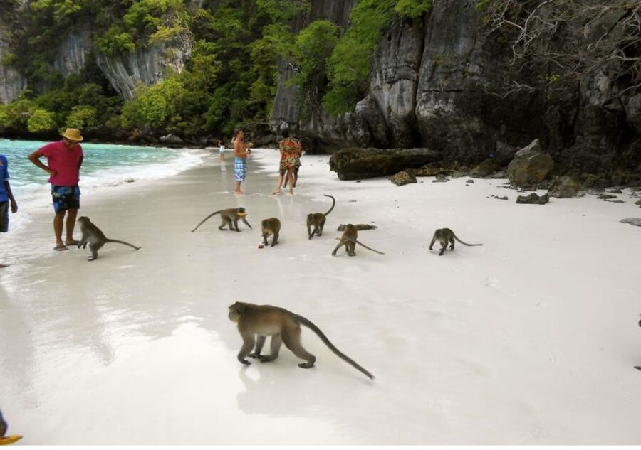 From Phi Phi: Private Full-Day Speed Boat Charter - Pi Leh Lagoon: limestone walls and still water