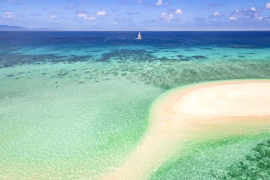 From Port Douglas: Outer Reef Cruise by Luxury Catamaran - Key points at a glance
