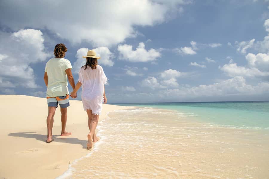 From Port Douglas: Outer Reef Cruise by Luxury Catamaran - Lunch on board and a second reef site