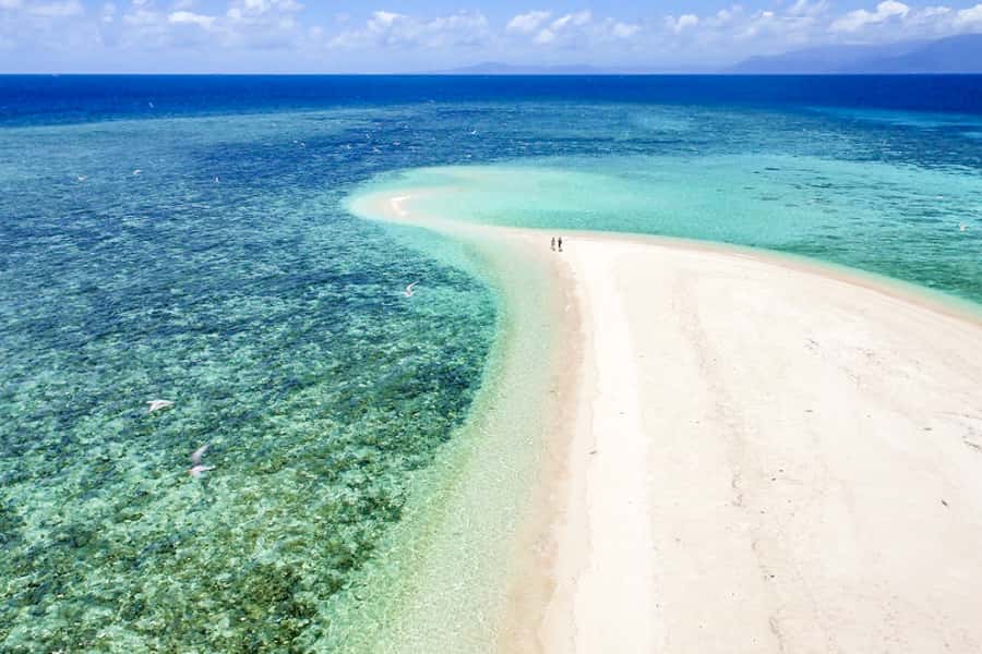 From Port Douglas: Outer Reef Cruise by Luxury Catamaran - Who should book this Outer Reef cruise?