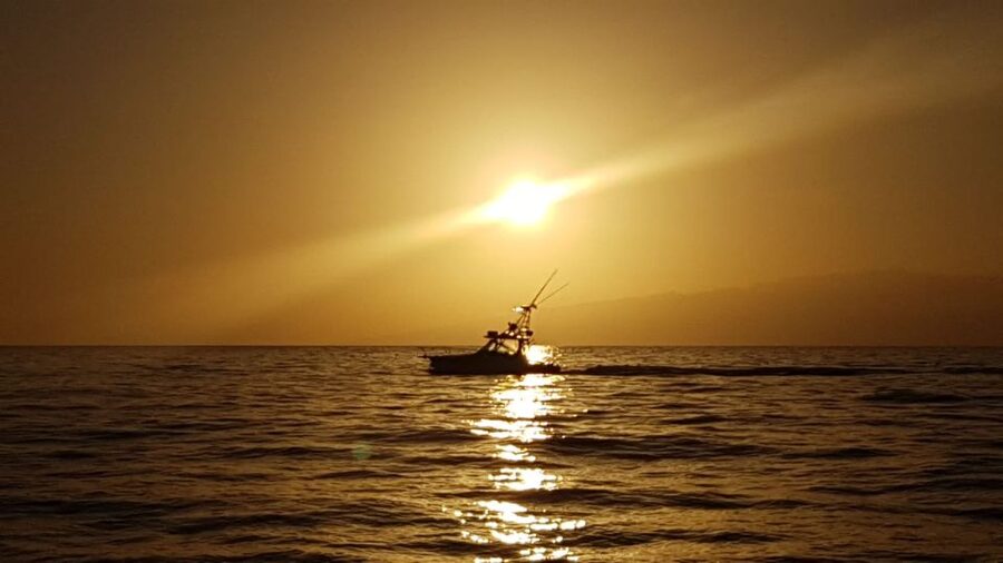 From Puerto Colón: Private Fishing Boat Charter with Lunch - The Royal Garden Boat Meeting Point