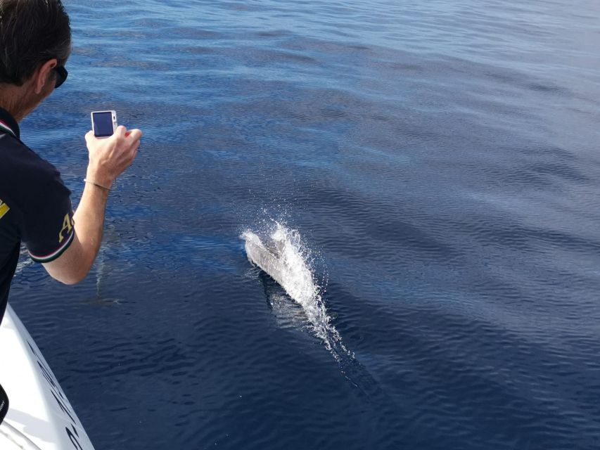 From Tazacorte: Discover the Northwest Coast by Speedy Yacht - Setting out from Puerto de Tazacorte
