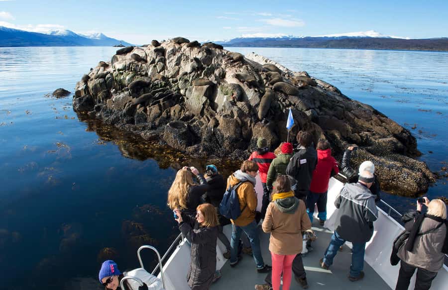 From Ushuaia: Beagle Channel Yacht Sailing Tour - Cormorants, sea lions, and the working channel