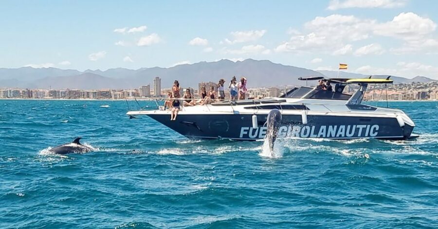 Fuengirola: Dolphin Watching by Yacht with Snacks and Drinks - Snacks, cava, and time on the water